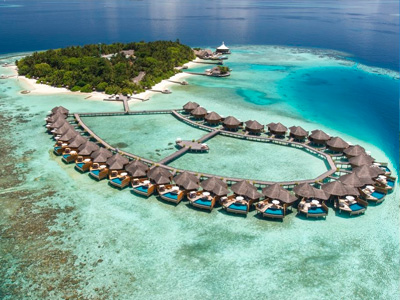 The Tropical Paradise